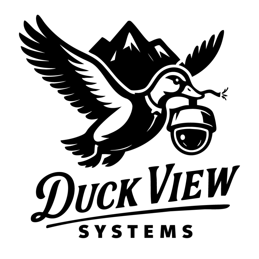 Duckview Systems Logo