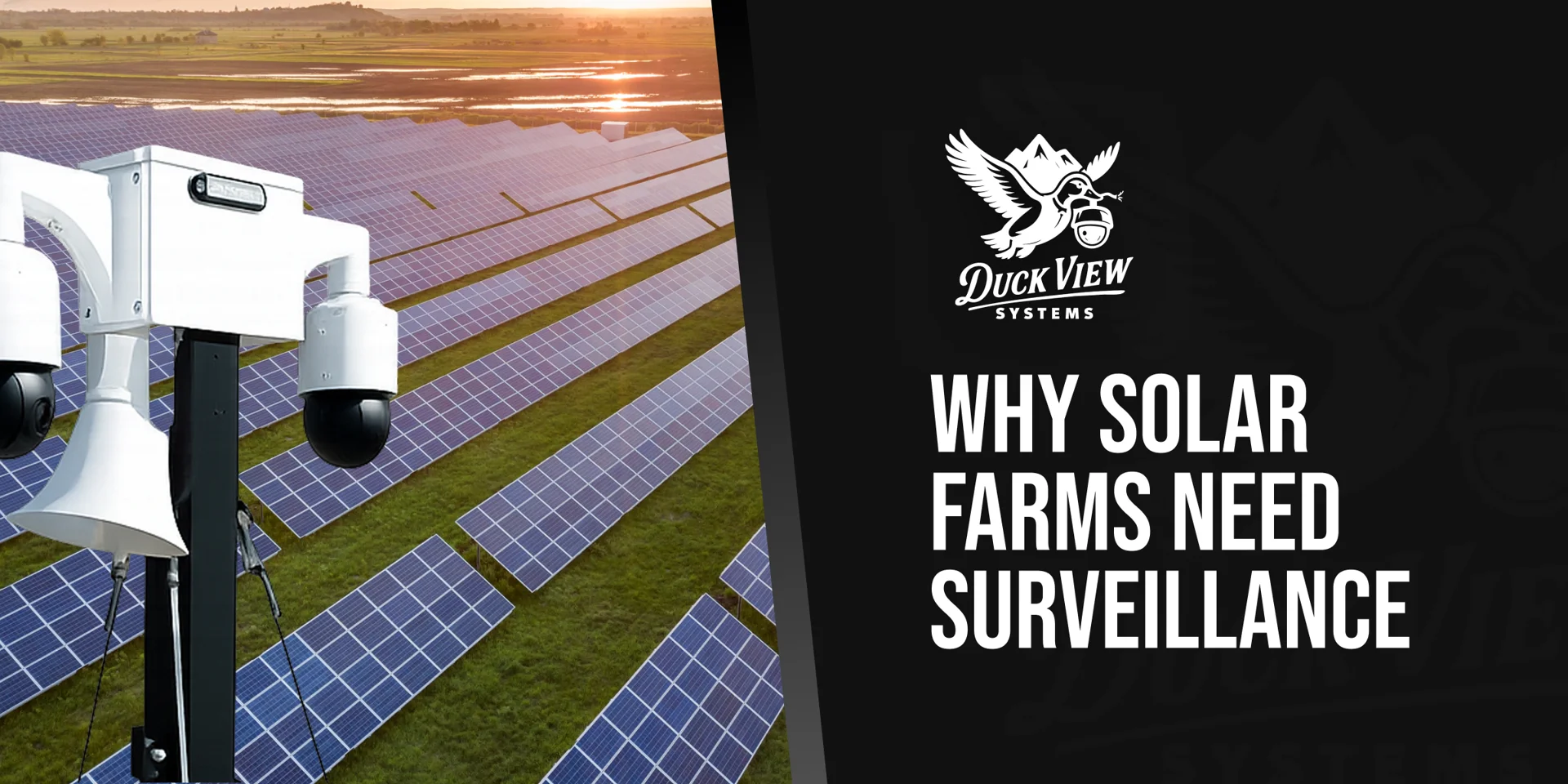 Why Solar Farms Need Surveillance: Protecting Your Investment From Rising Threats